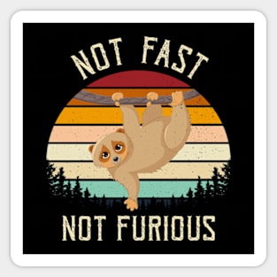 Not Fast Not Furious Sticker